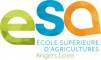 Logo ESA Angers